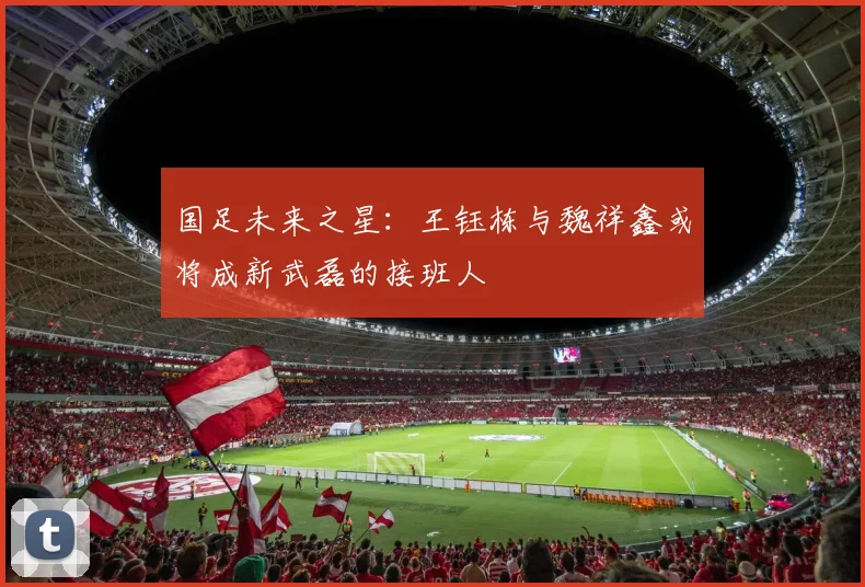 国足未来之星：王钰栋与魏祥鑫或将成新武磊的接班人